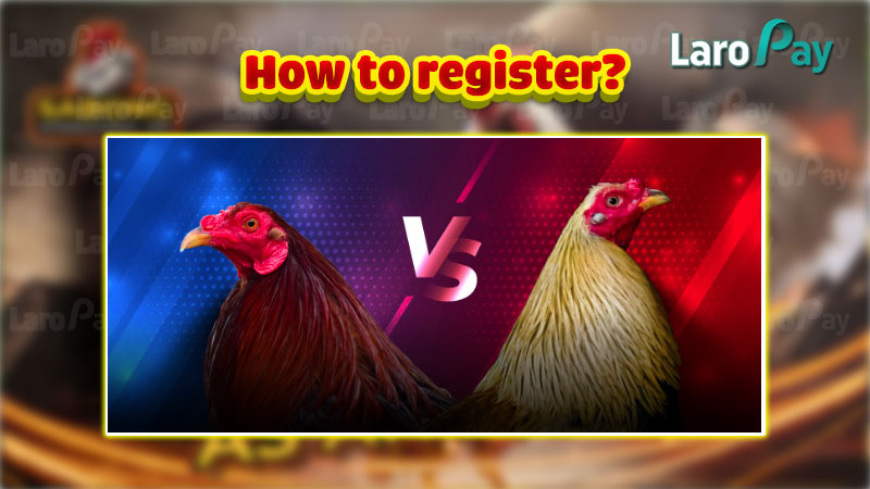 How to register sabong online?