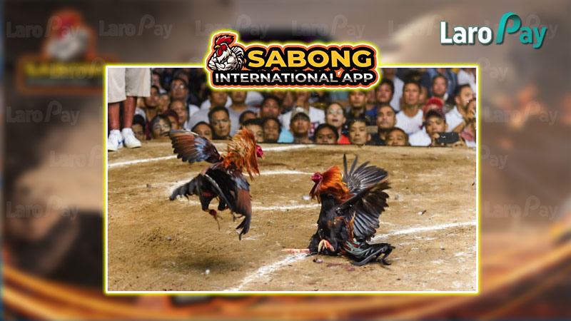 Introducing Sabong International