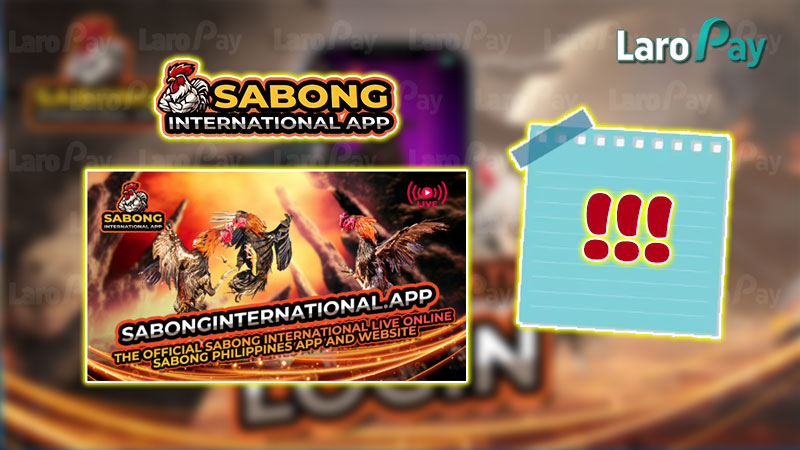 Some notes when logging in to Sabong International